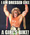 funny-wrestler-costume-girly-fighter.jpg