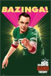 the-big-bang-theory-bazinga-222460.jpg