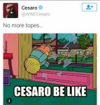 Cesaro.jpg