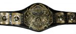 TNA_World_Heavyweight_Championship.jpg